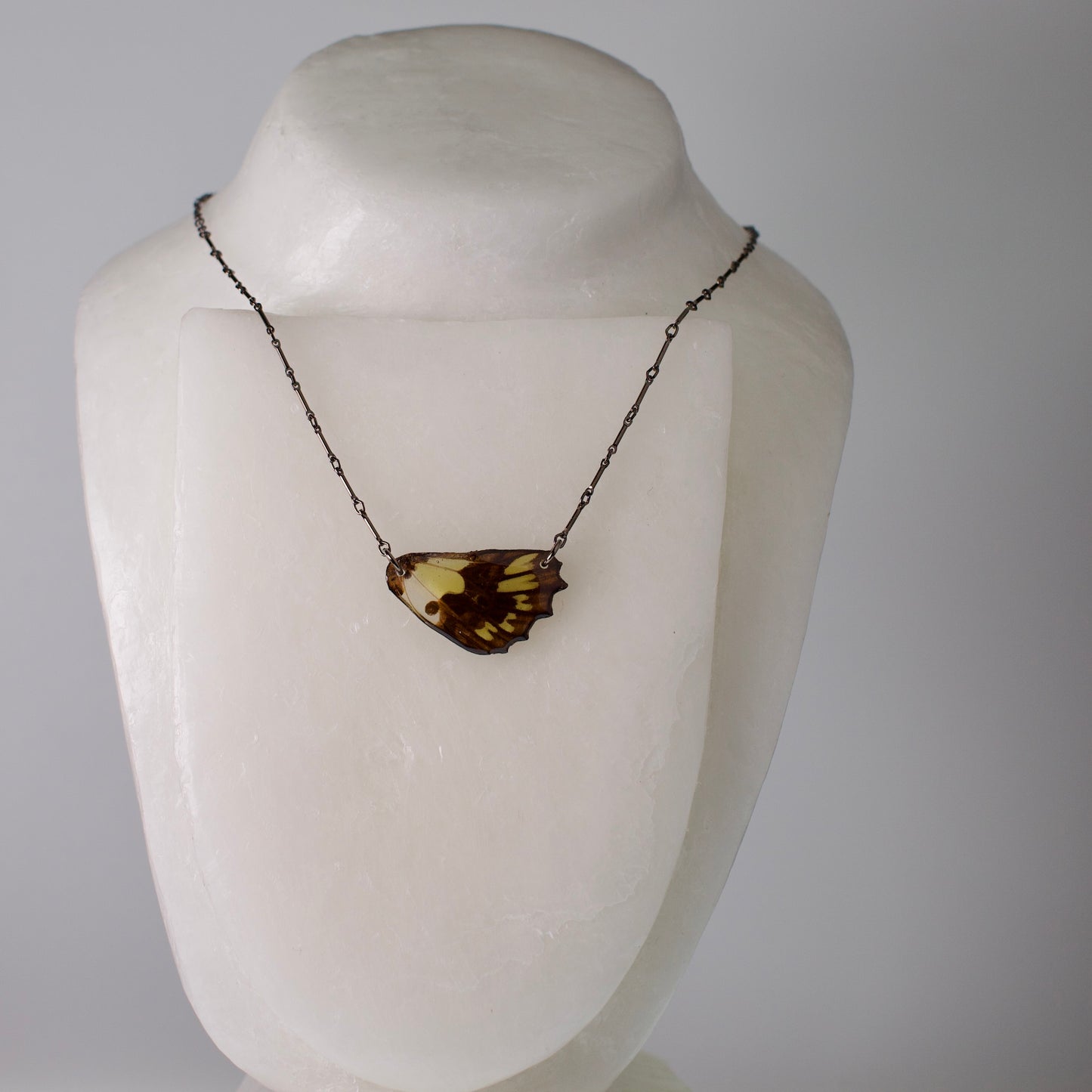 real butterfly wing necklaces green butterflies black steel necklace on mannequin