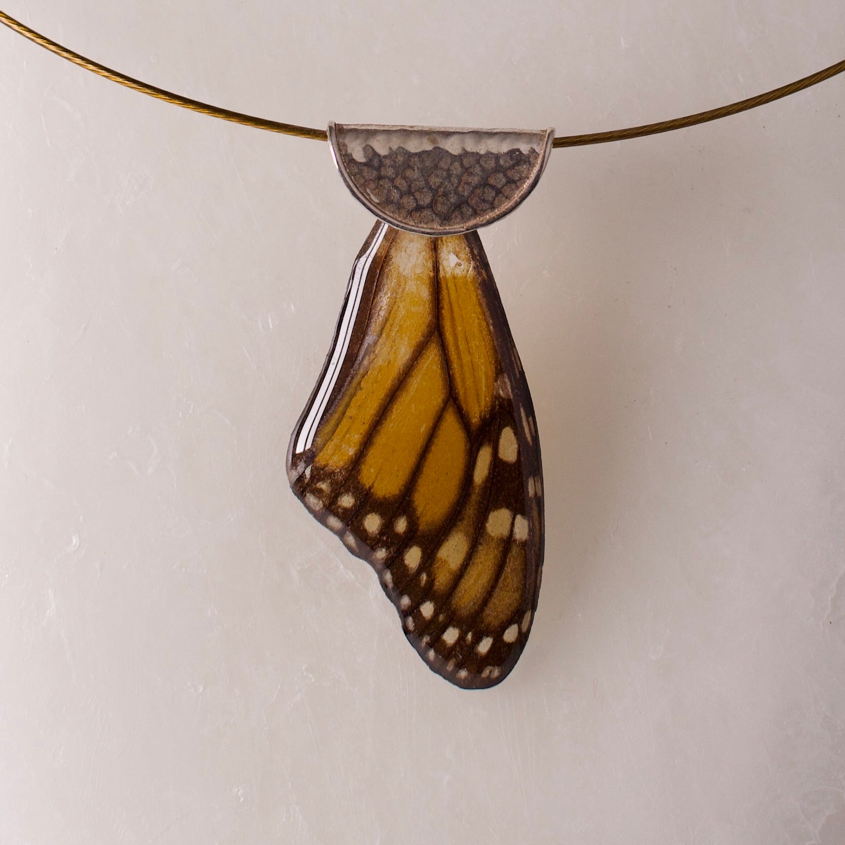 real butterfly wing necklace monarch Manaus plexippus butterflies sterling silver cable necklace close up