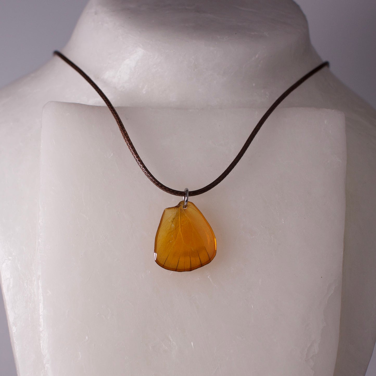 real butterfly wing necklace orange albatross appias nero butterflies brown cord close up on wax form