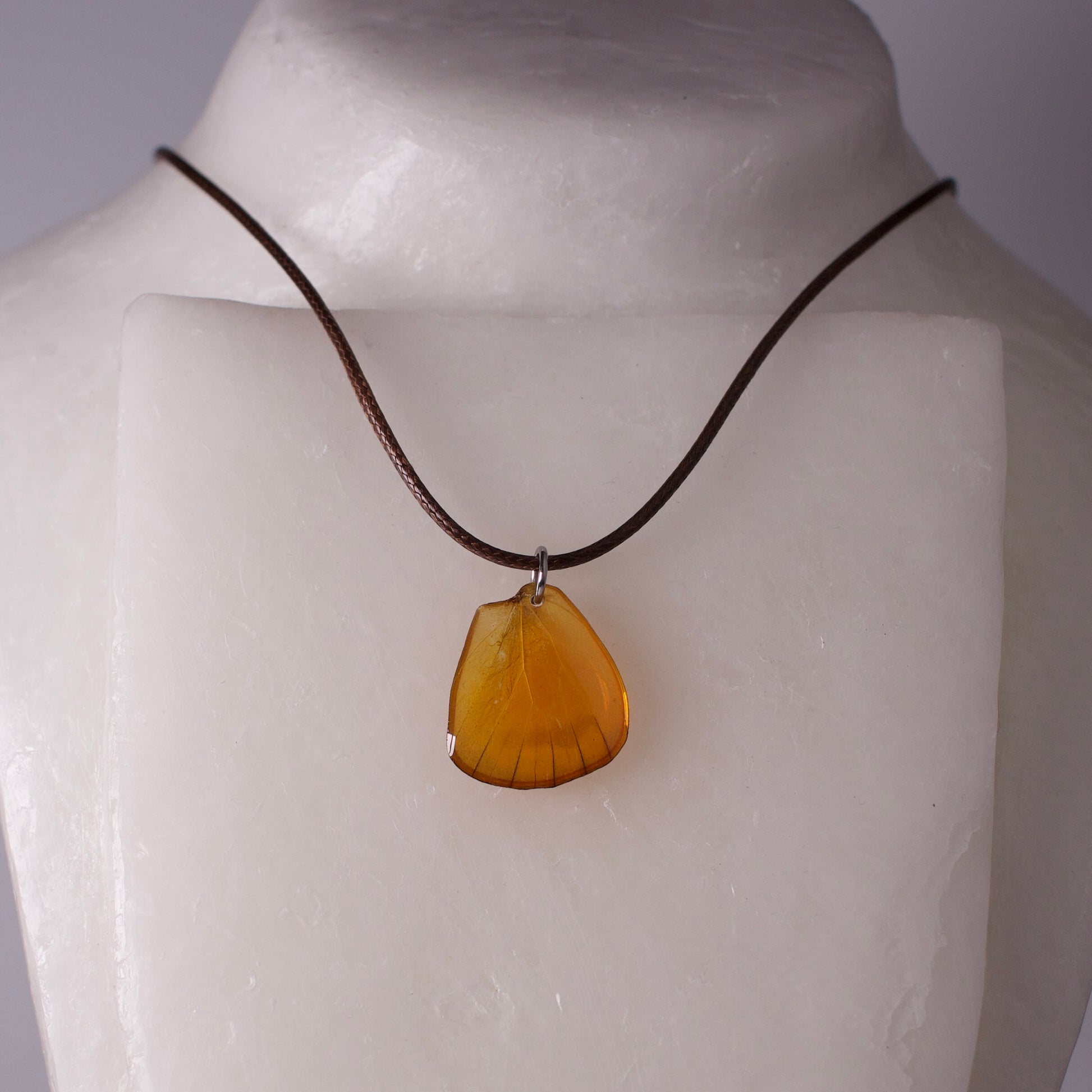real butterfly wing necklace orange albatross appias nero butterflies brown cord close up on wax form