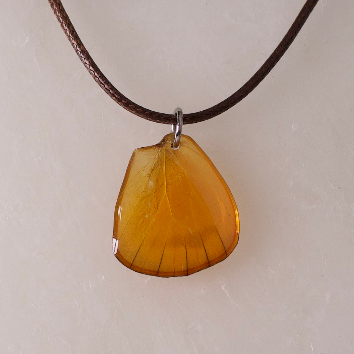 real butterfly wing necklace orange albatross appias nero butterflies brown cord close up