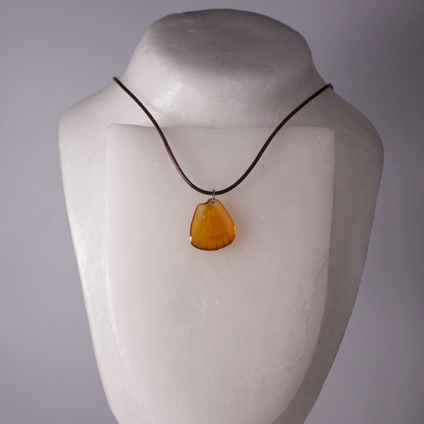 real butterfly wing necklace orange albatross appias nero butterflies brown cord necklace