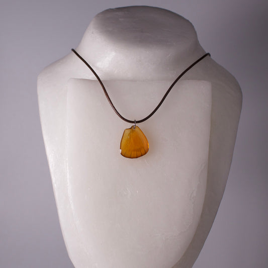 real butterfly wing necklace orange albatross appias nero butterflies brown cord necklace