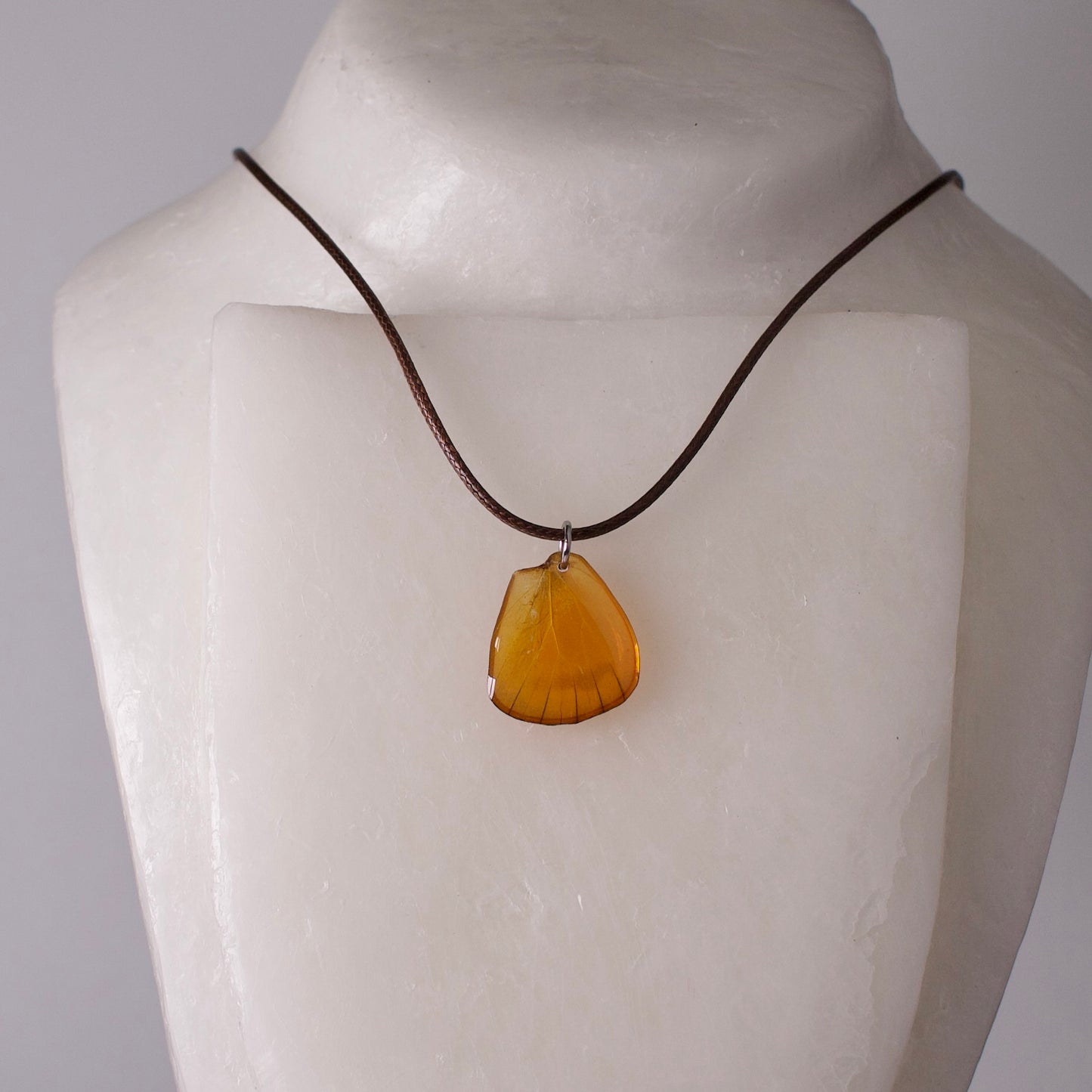 real butterfly wing necklace orange albatross appias nero butterflies brown cord steel on wax form