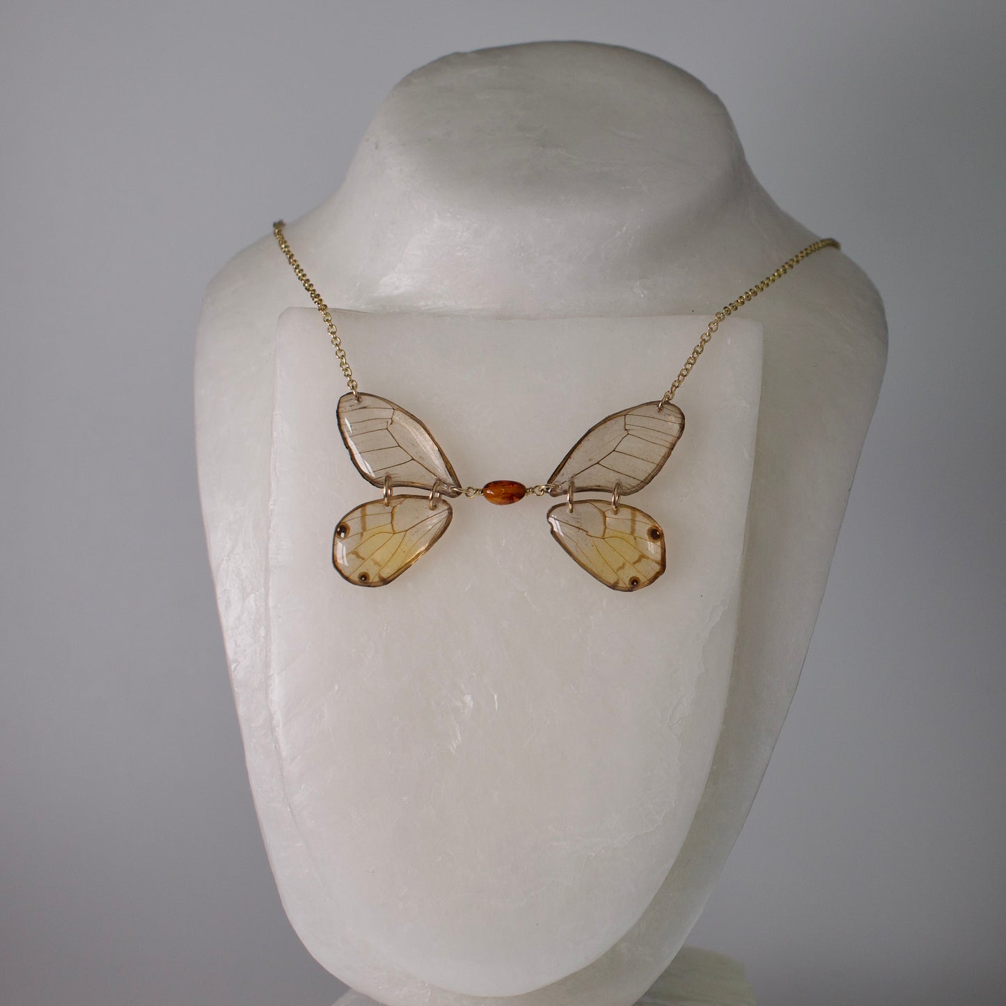 real butterfly wing necklace glasswing butterflies amber bead gold chain on neck form