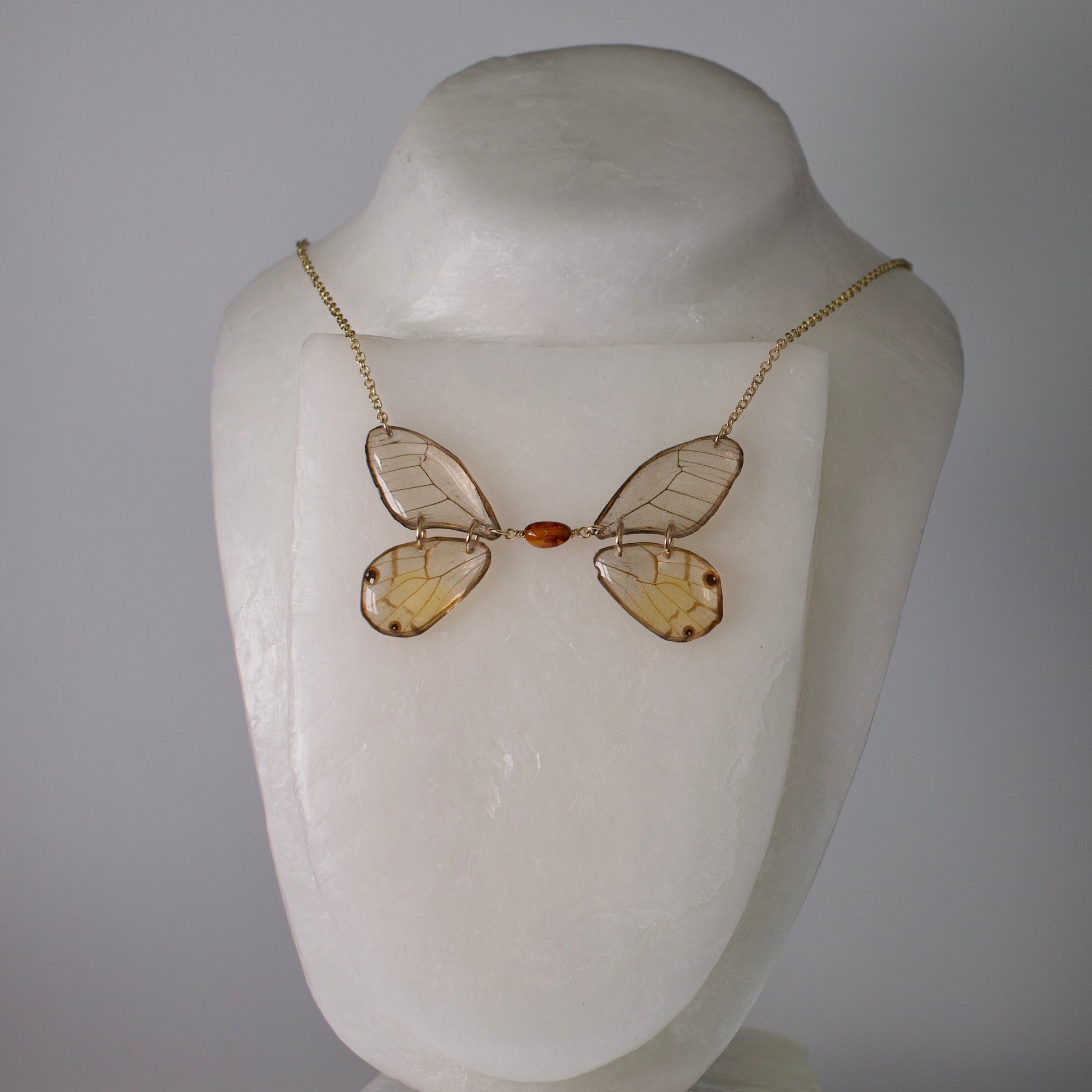 real butterfly wing necklace glasswing butterflies amber bead gold chain on neck form