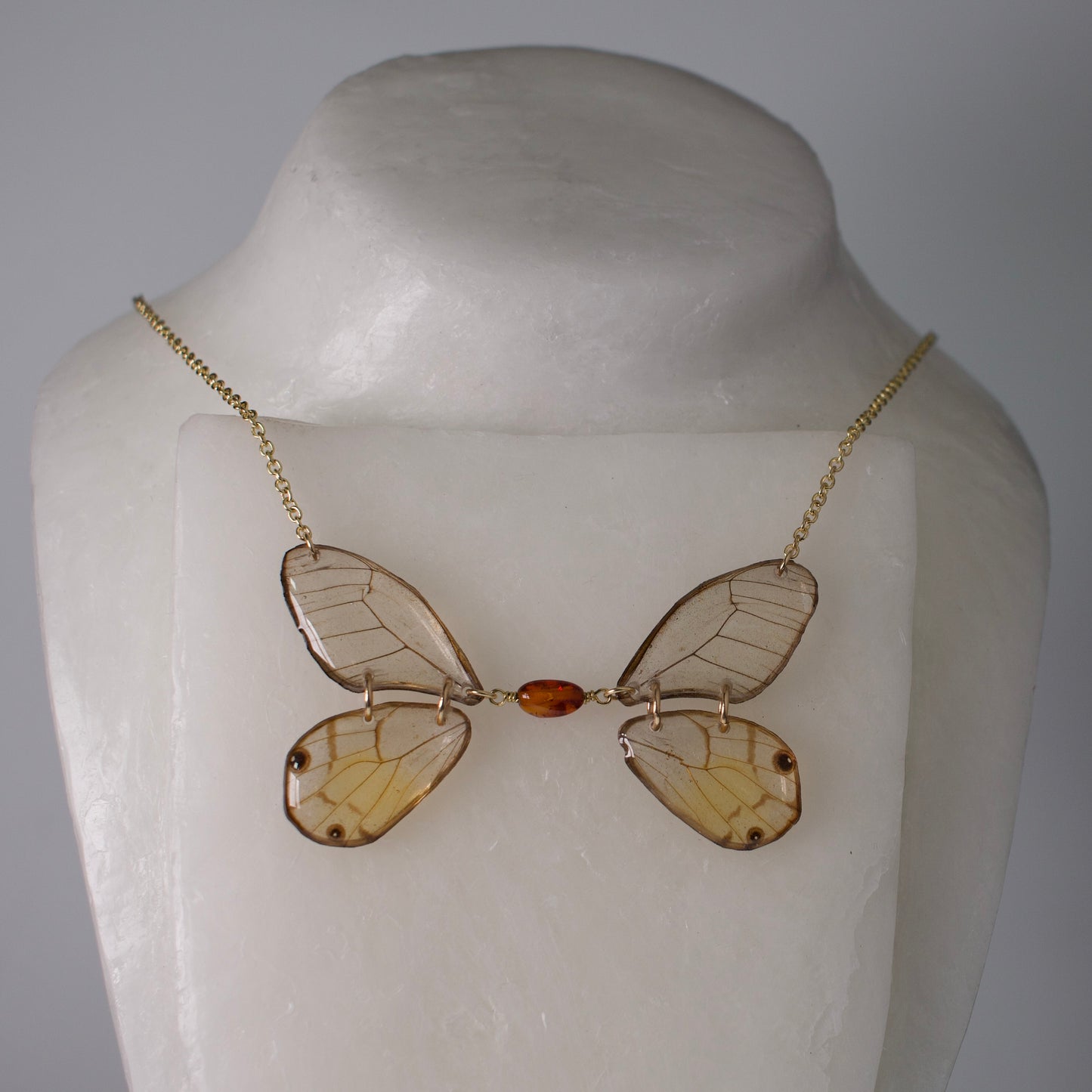 real butterfly wing necklace phantom glasswing butterflies amber bead gold chain on neck form