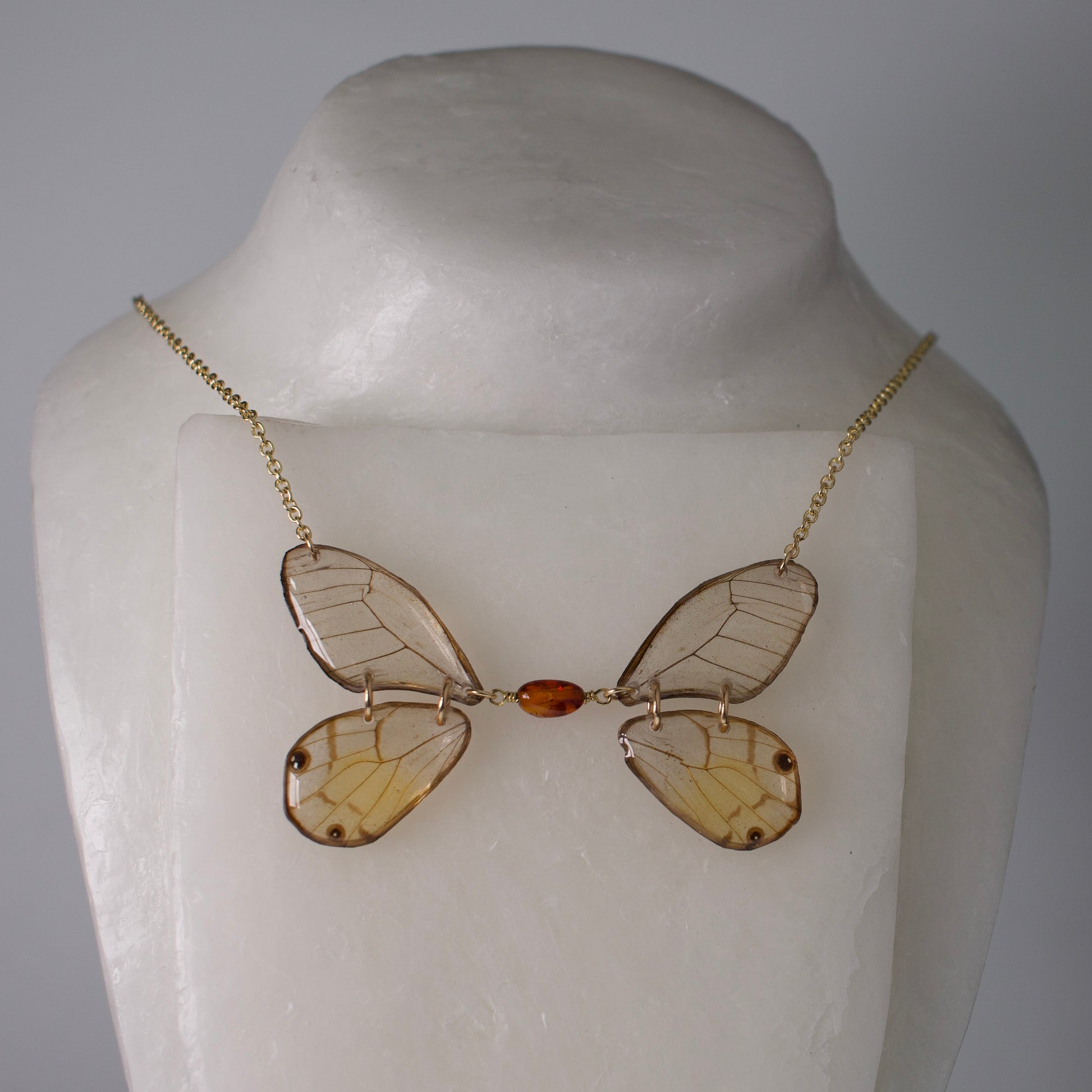 real butterfly wing necklace phantom glasswing butterflies amber bead gold chain on neck form