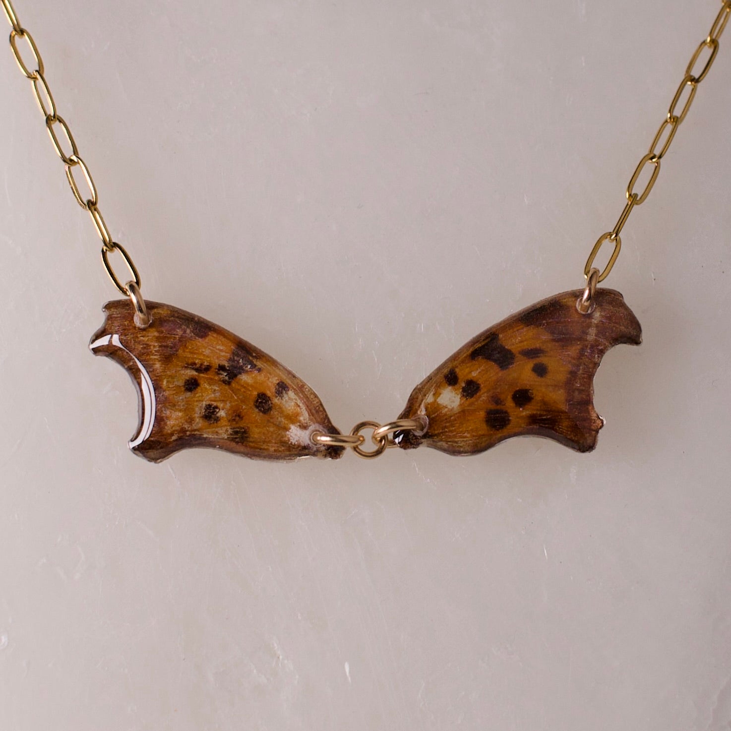 real butterfly wing necklace question mark butterflies 18k gold on steel paperclip chain close up on wax