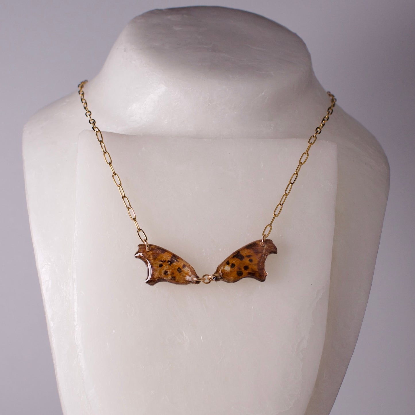 real butterfly wing necklace question mark butterflies 18k gold on steel paperclip chain necklace on mannequin