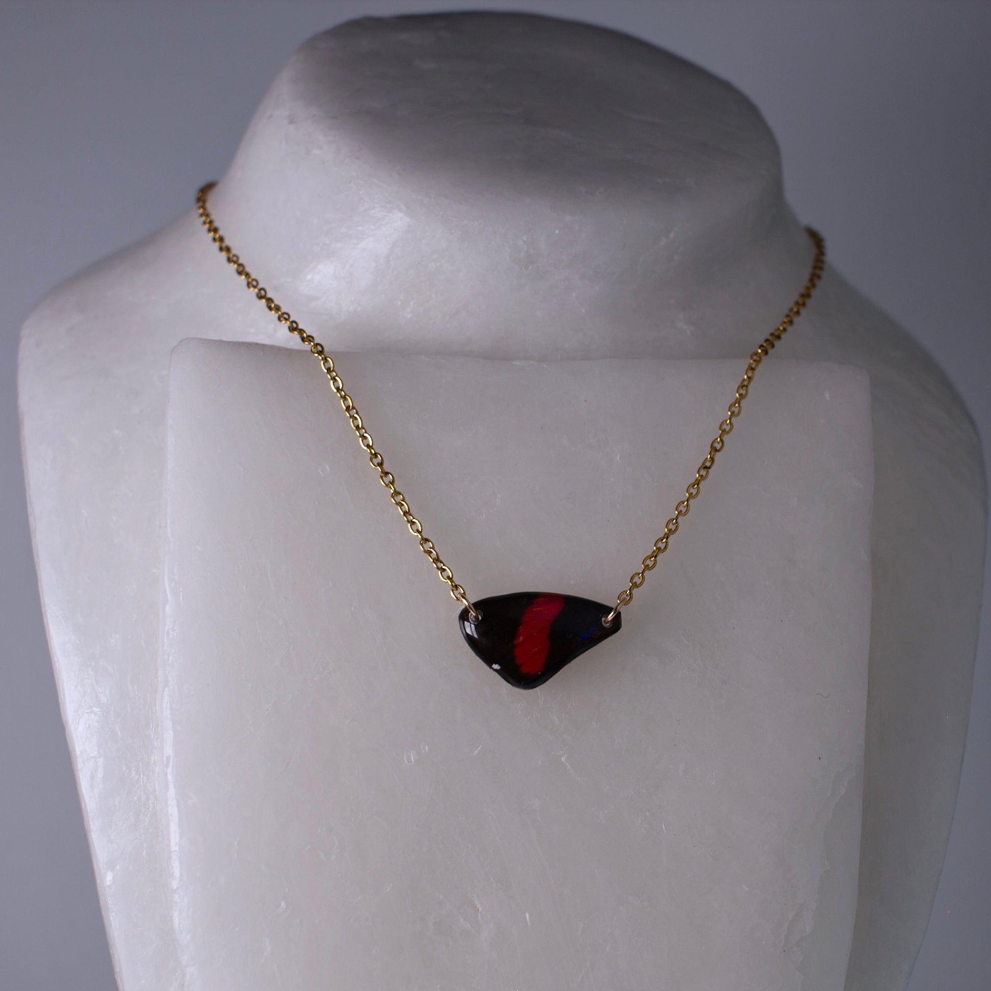 real butterfly wing necklace red and black butterflies gold chain on mannequin