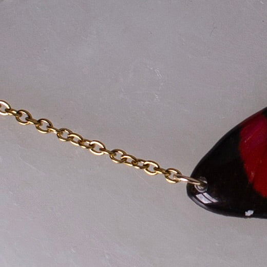 real butterfly wing necklace red and black butterflies gold chain close up on white
