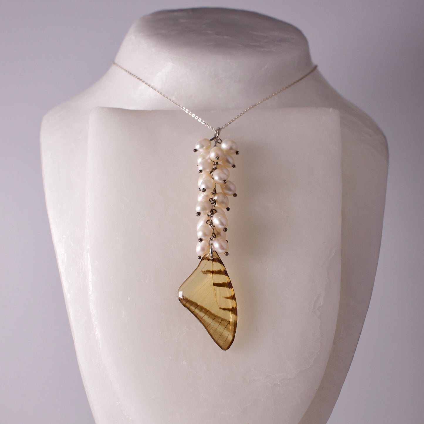 real butterfly wing necklace set Short lined kite butterflies eurytides agesilaus pearl silver on mannequin