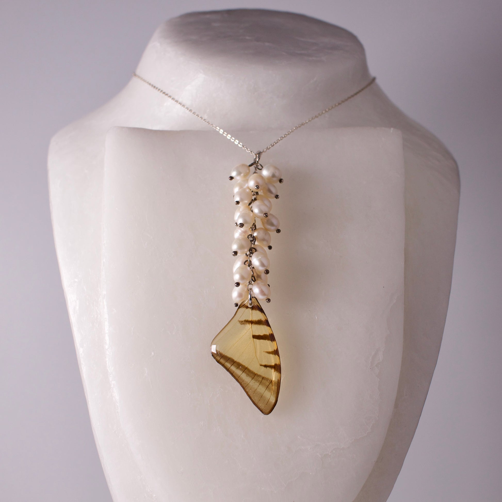 real butterfly wing necklace set Short lined kite butterflies eurytides agesilaus pearl silver on mannequin