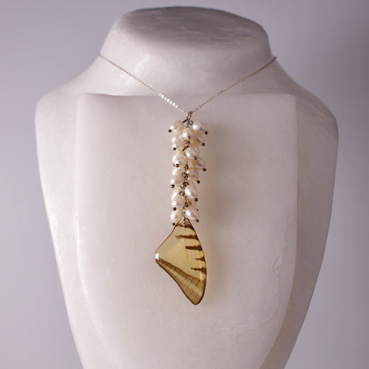 real butterfly wing necklace set Short lined kite butterflies eurytides agesilaus pearl silver on mannequin