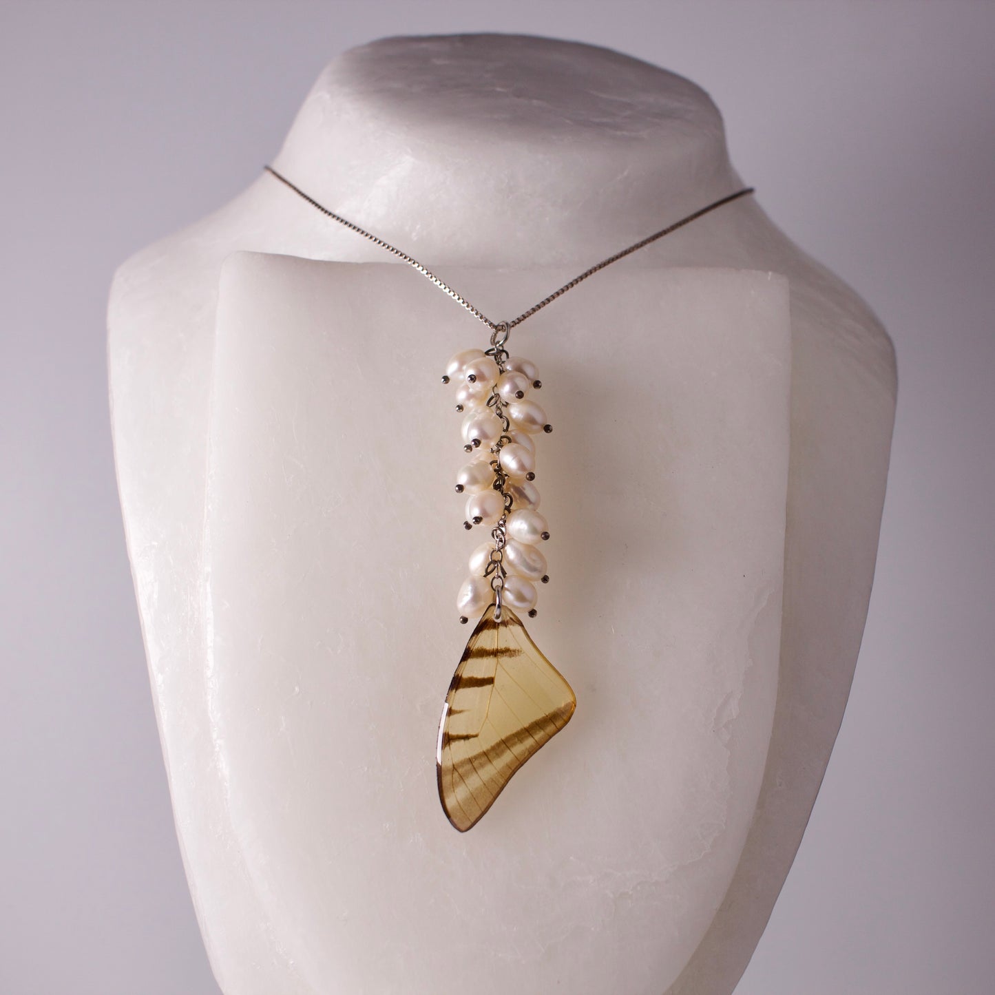 real butterfly wing necklace set Short lined kite butterflies eurytides agesilaus pearl silver second on form