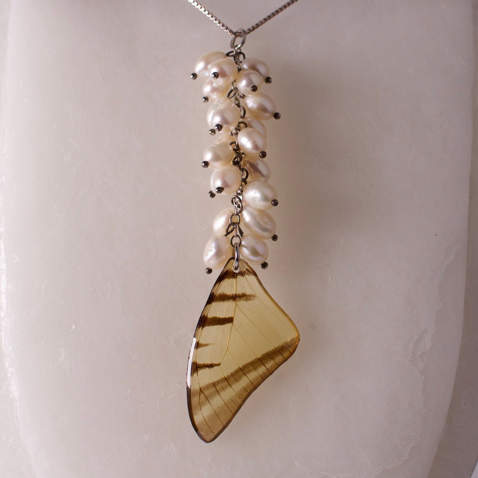 real butterfly wing necklace set Short lined kite butterflies eurytides agesilaus pearl silver second close up