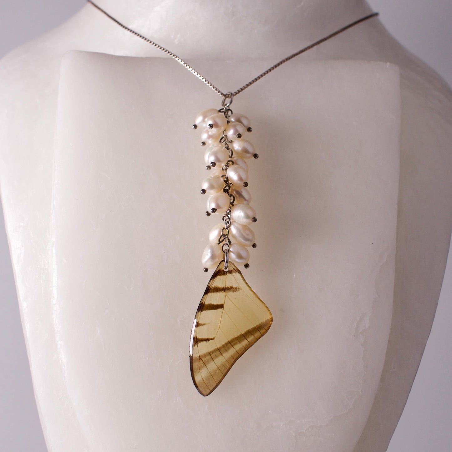 real butterfly wing necklace set Short lined kite butterflies eurytides agesilaus pearl sterling on mannequin