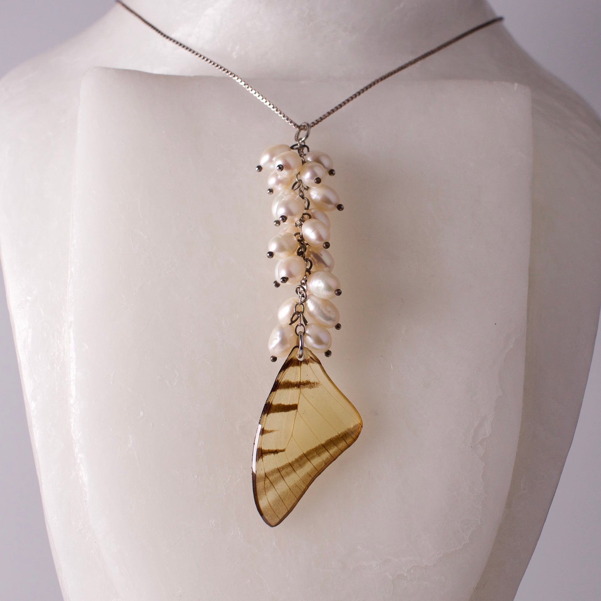 real butterfly wing necklace set Short lined kite butterflies eurytides agesilaus pearl sterling on mannequin