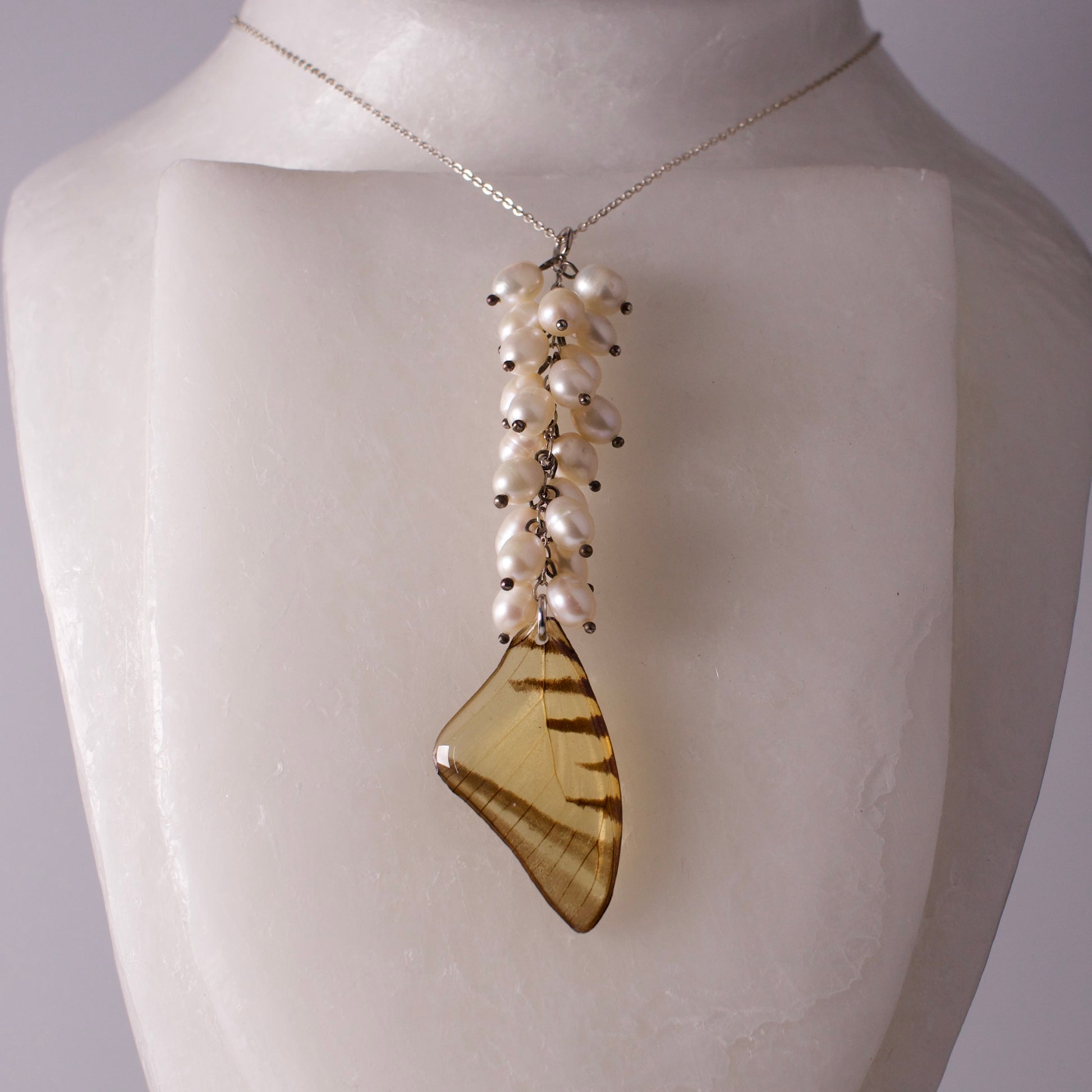 real butterfly wing necklace set Short lined kite butterflies eurytides agesilaus pearl sterling silver on form