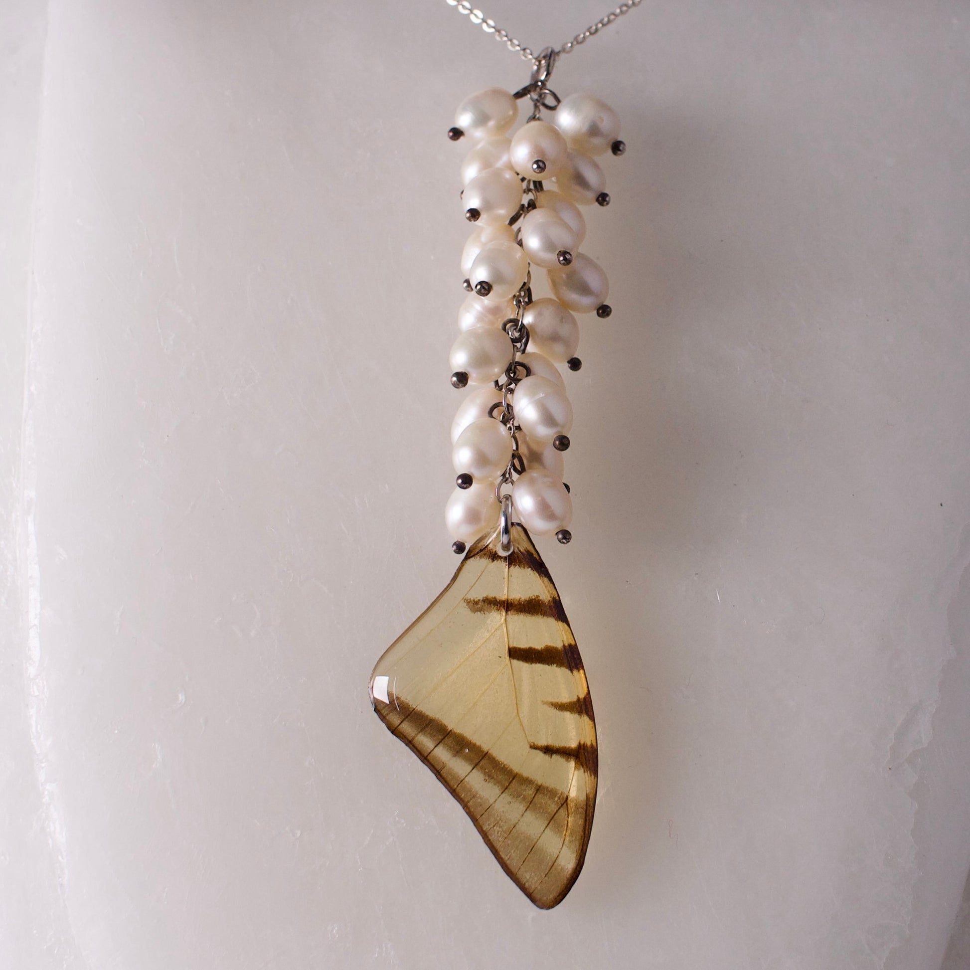 real butterfly wing necklace set Short lined kite butterflies eurytides agesilaus pearl sterling silver close up
