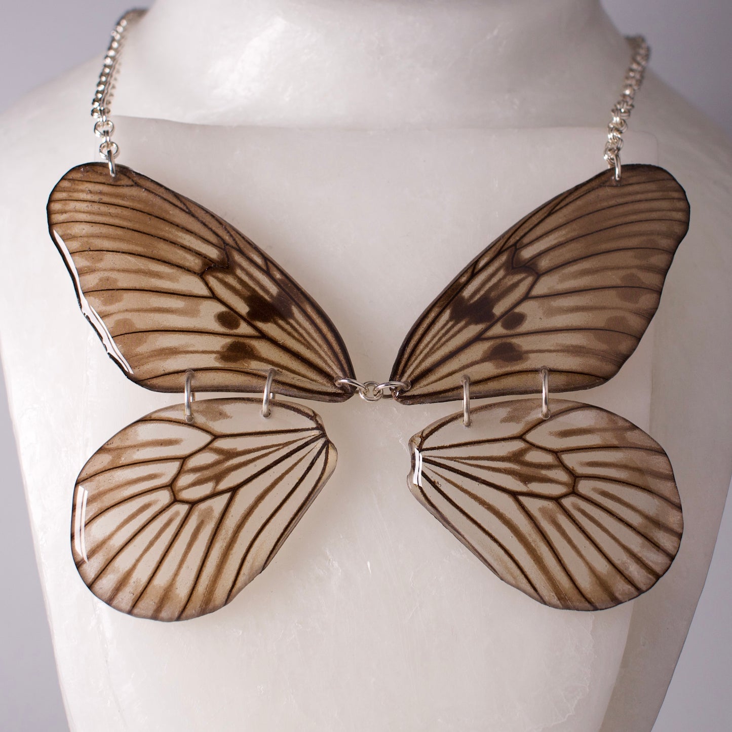 real butterfly wing necklace statement piece Blanchardii"s Ghost Butterflies silver double link chain close up