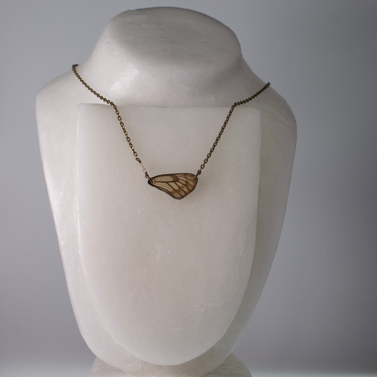 real butterfly wing necklace striped green khaki butterflies yellow citrine bronze chain on wax mannequin