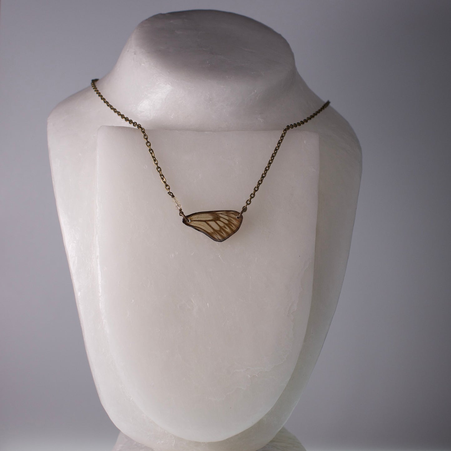 real butterfly wing necklace striped green khaki butterflies yellow citrine bronze chain necklace on mannequin