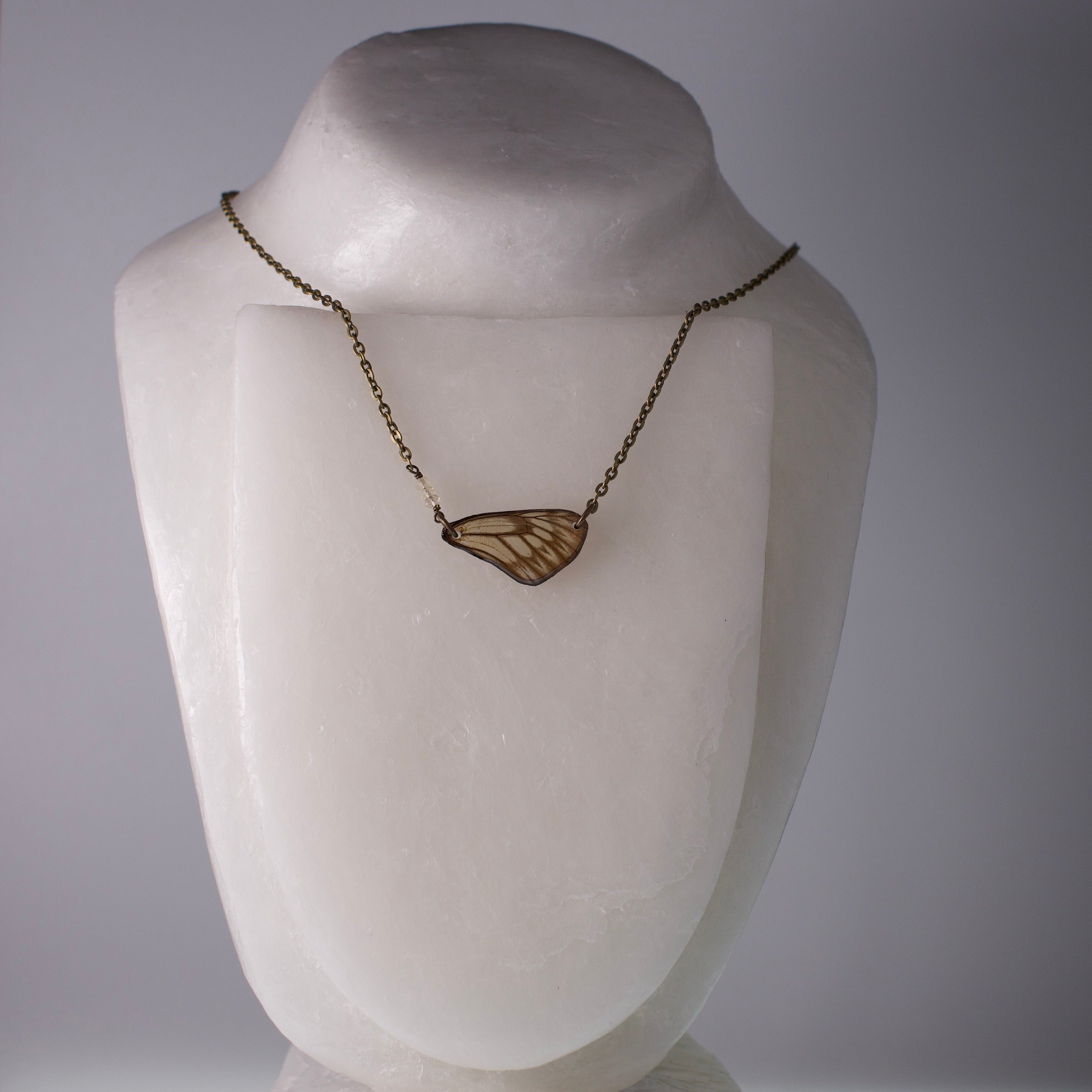 real butterfly wing necklace striped green khaki butterflies yellow citrine bronze chain necklace on mannequin