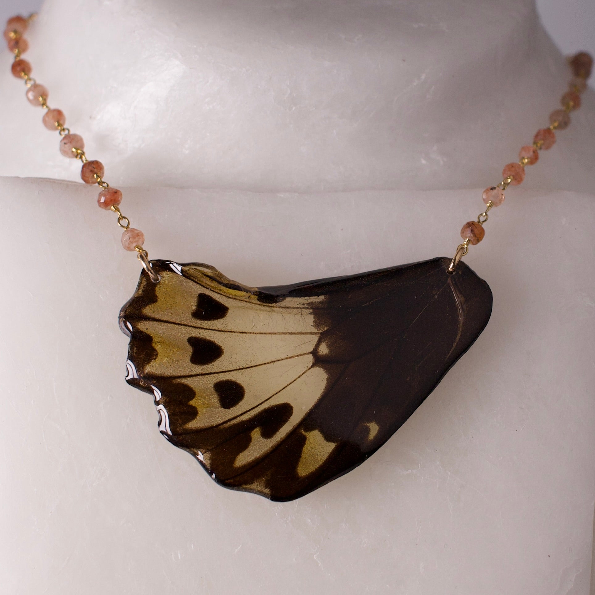 real butterfly wing necklace sunstone gold ornithoptera birdwing butterflies close up on wax form
