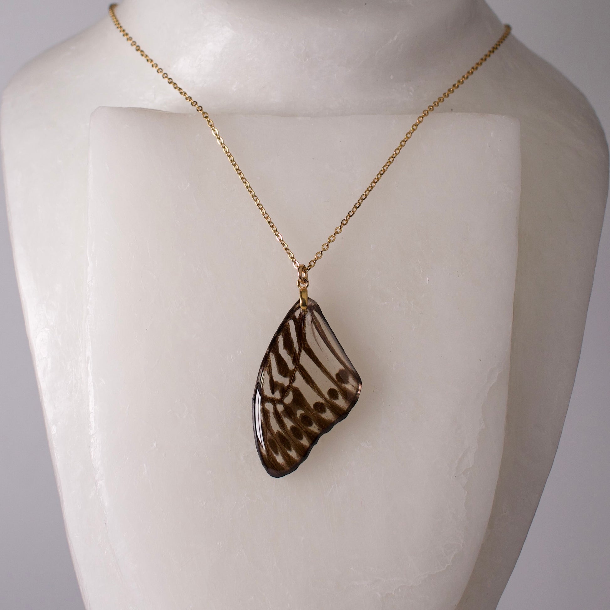 real butterfly wing pendant Malayan zebra black and white butterflies gold chain necklace on mannequin