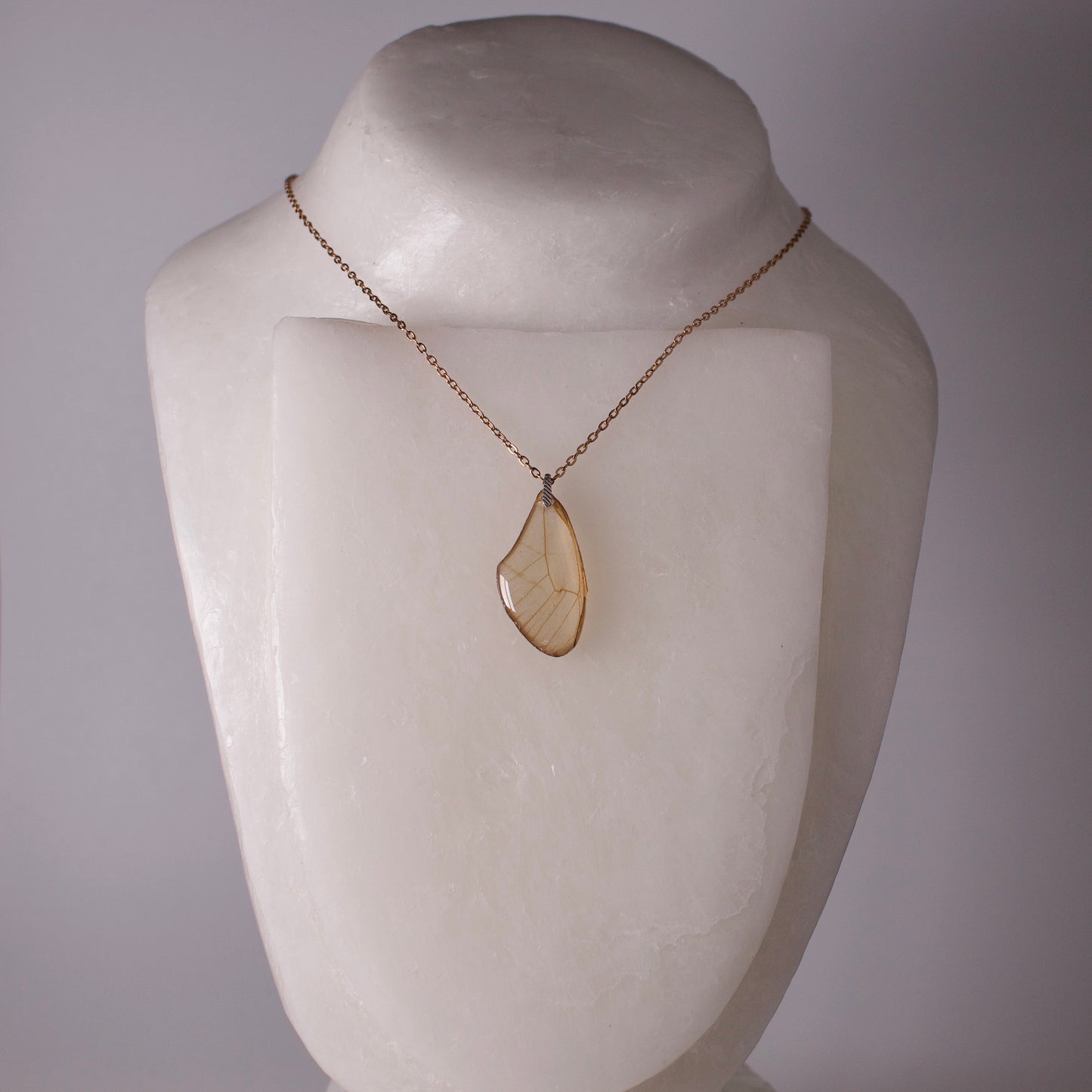 real butterfly wing pendant blushing phantom butterflies rose gold chain sterling silver bail necklace on neck form