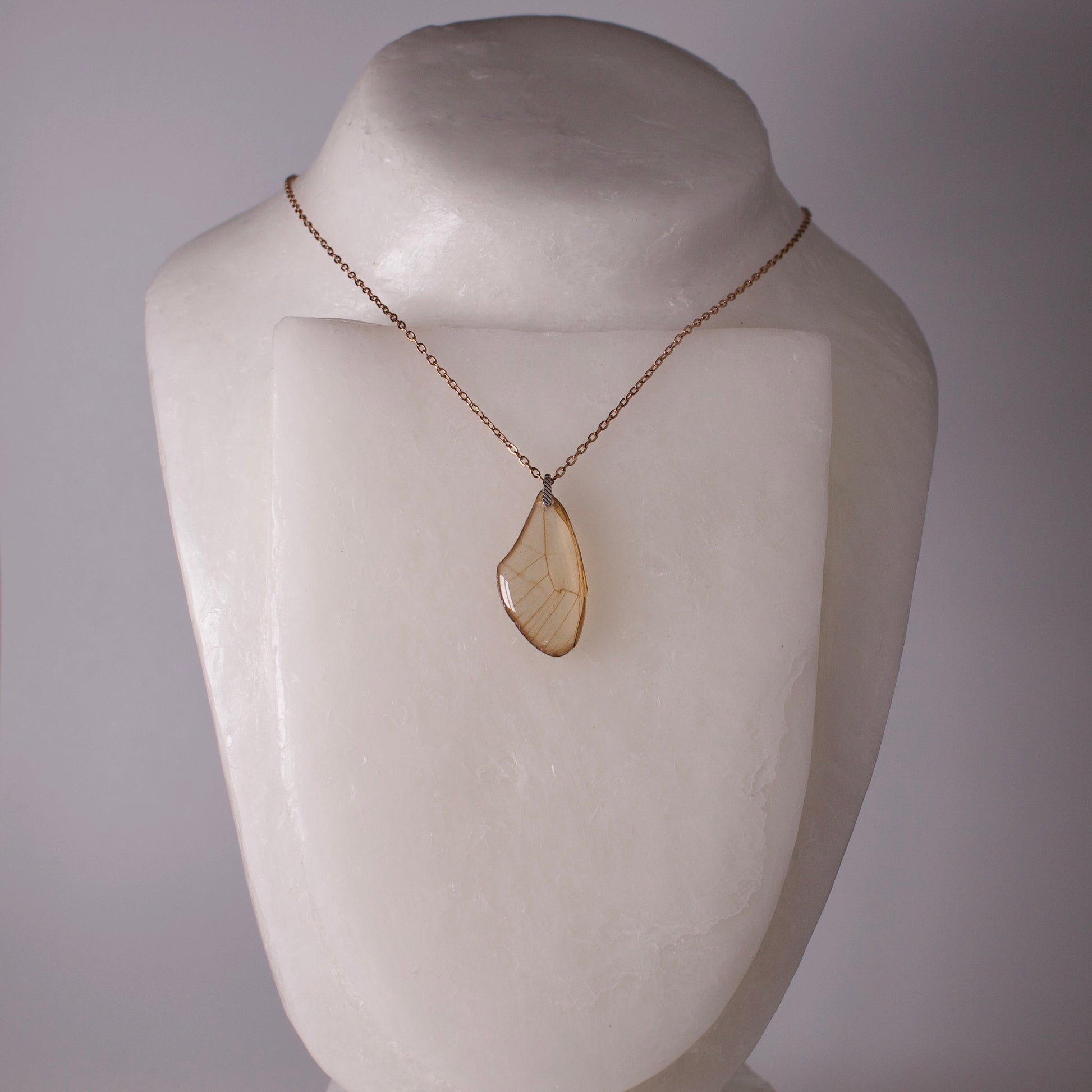 real butterfly wing pendant blushing phantom butterflies rose gold chain sterling silver bail necklace on neck form