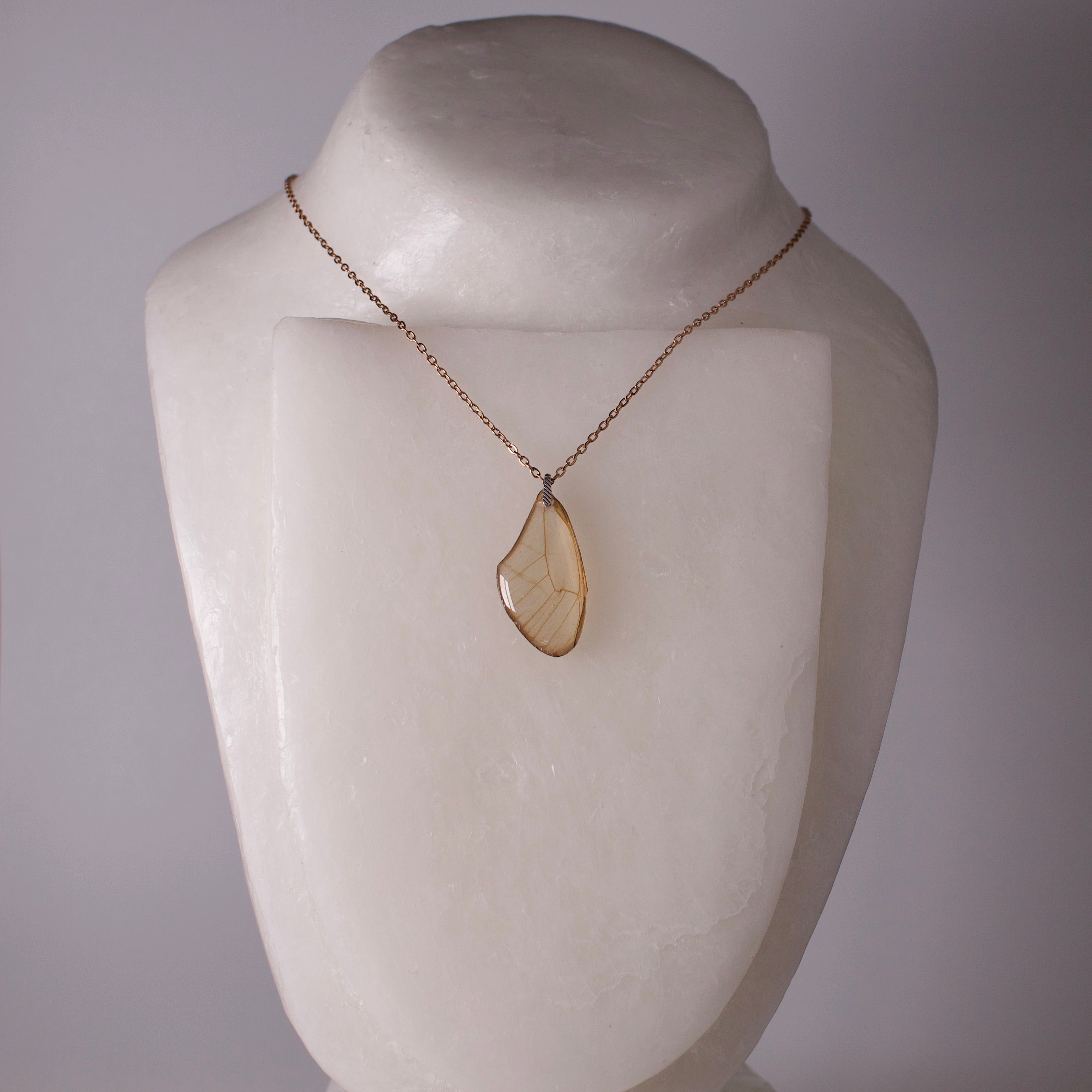 real butterfly wing pendant blushing phantom butterflies rose gold chain sterling silver bail necklace on neck form