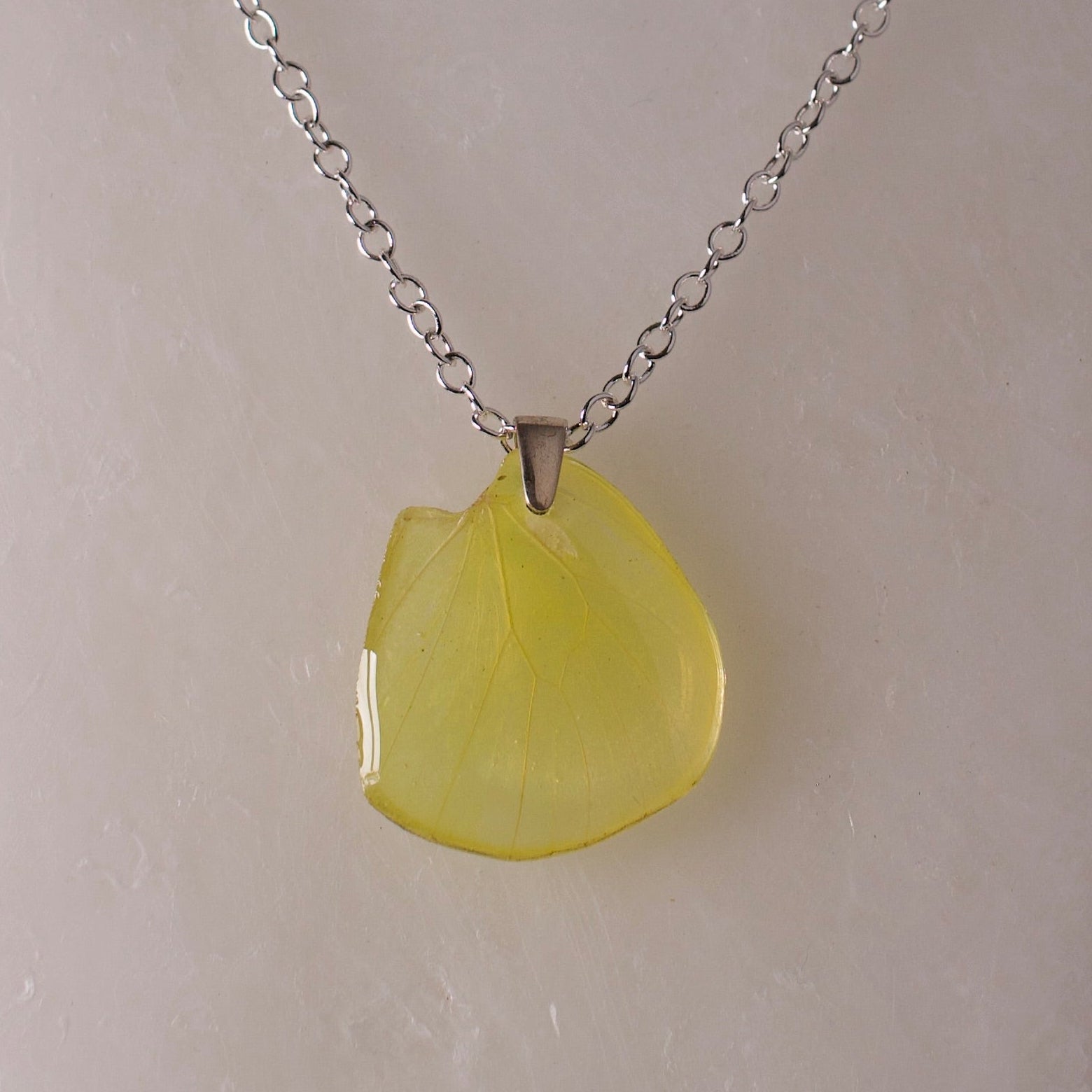 real butterfly wing pendant bright yellow butterflies silver chain necklace close up