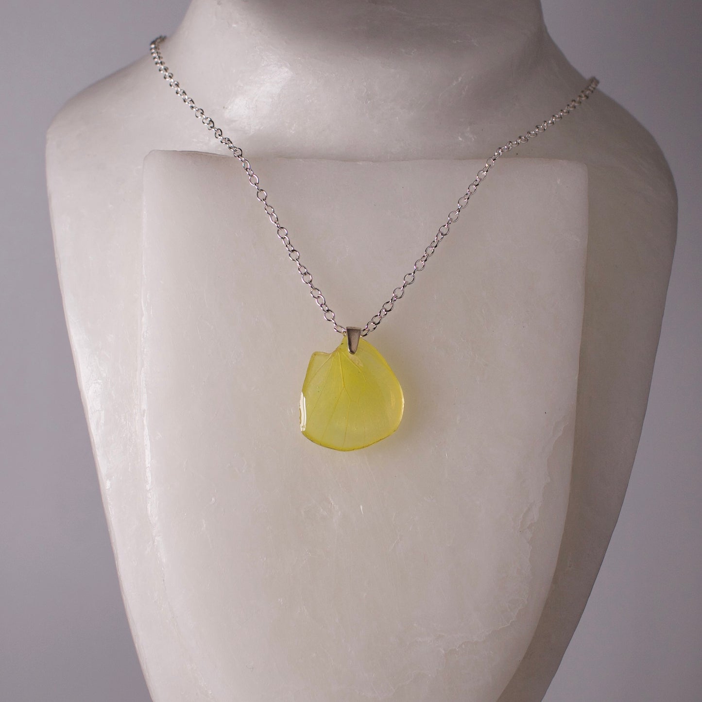 real butterfly wing pendant bright yellow cloudless sulphur butterflies silver chain necklace on neck form