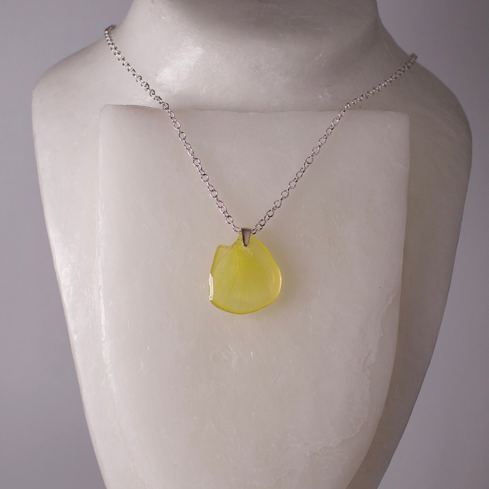 real butterfly wing pendant bright yellow cloudless sulphur butterflies silver chain necklace on neck form