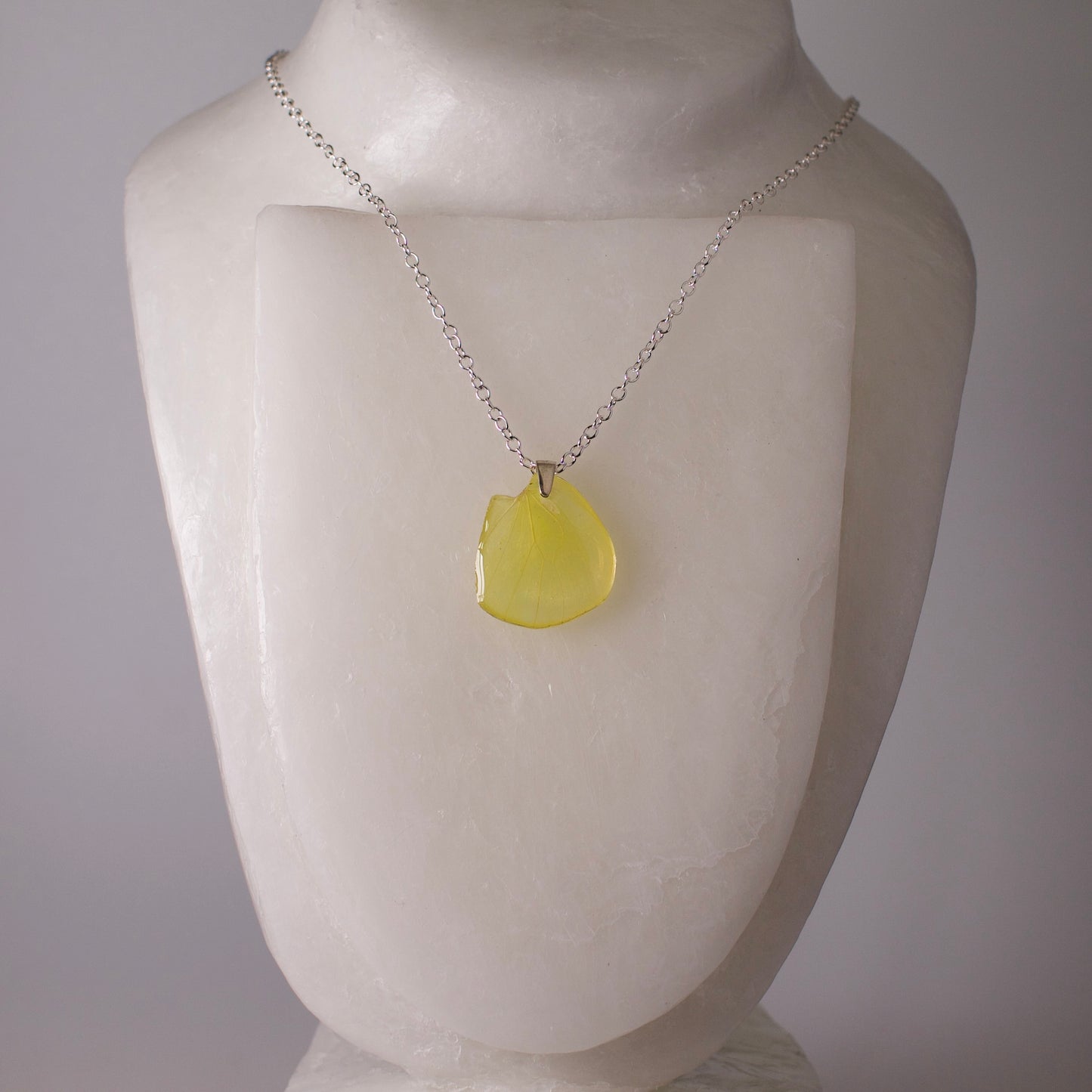 real butterfly wing pendant bright yellow cloudless sulphur butterflies silver necklace