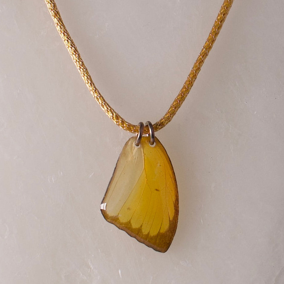 real butterfly wing pendant crocheted gold necklace yellow butterflies sterling silver close up