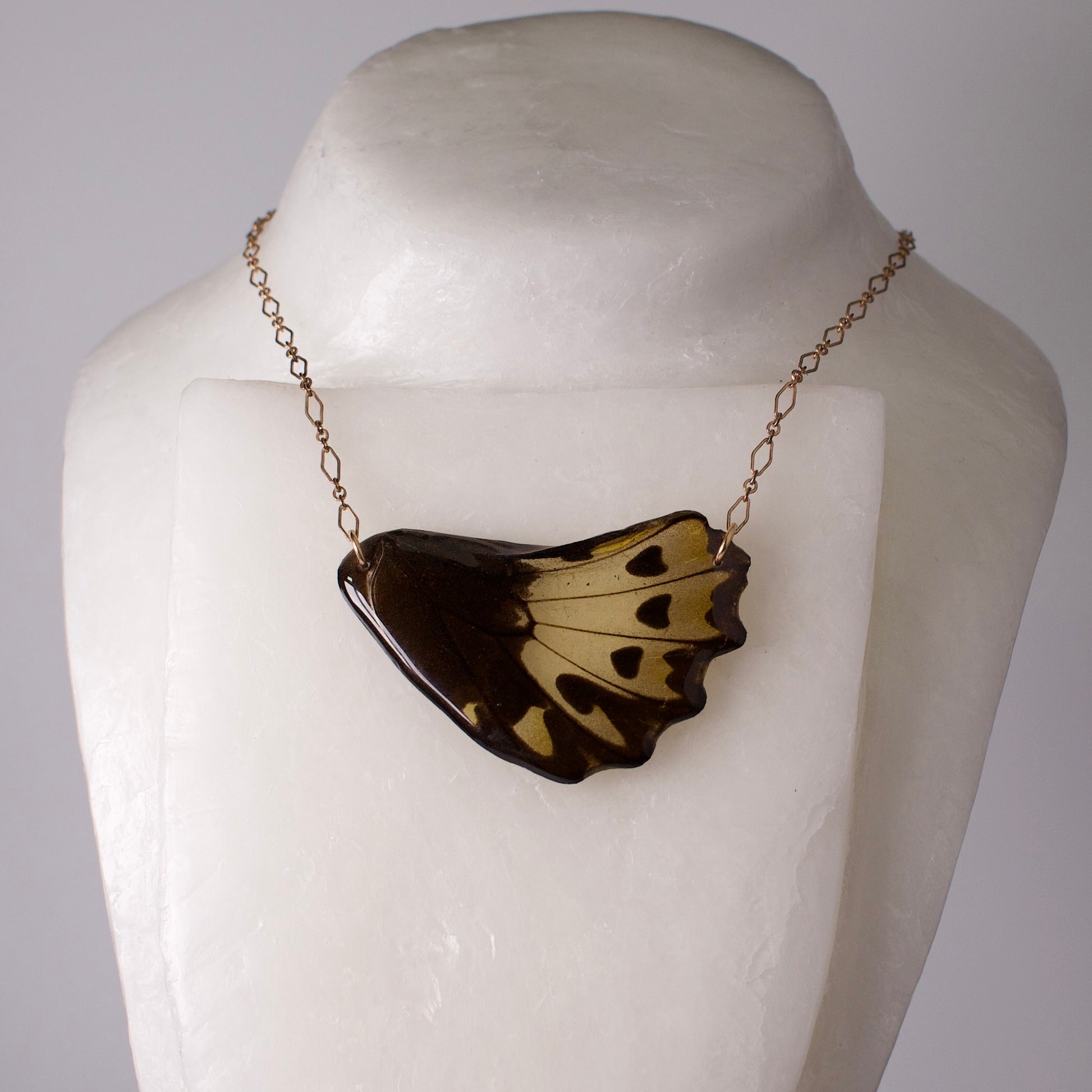real butterfly wing pendant gold necklace birdwing butterfly female ornithoptera on mannequin