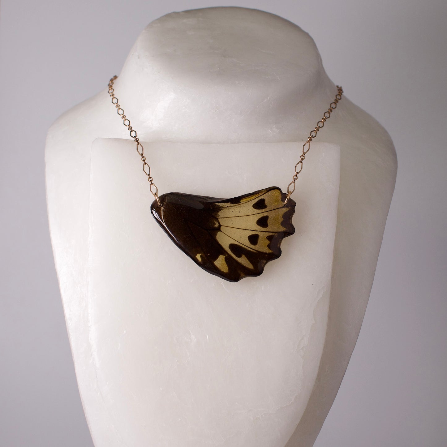 real butterfly wing pendant gold necklace birdwing butterfly female ornithoptera butterflies on mannequin