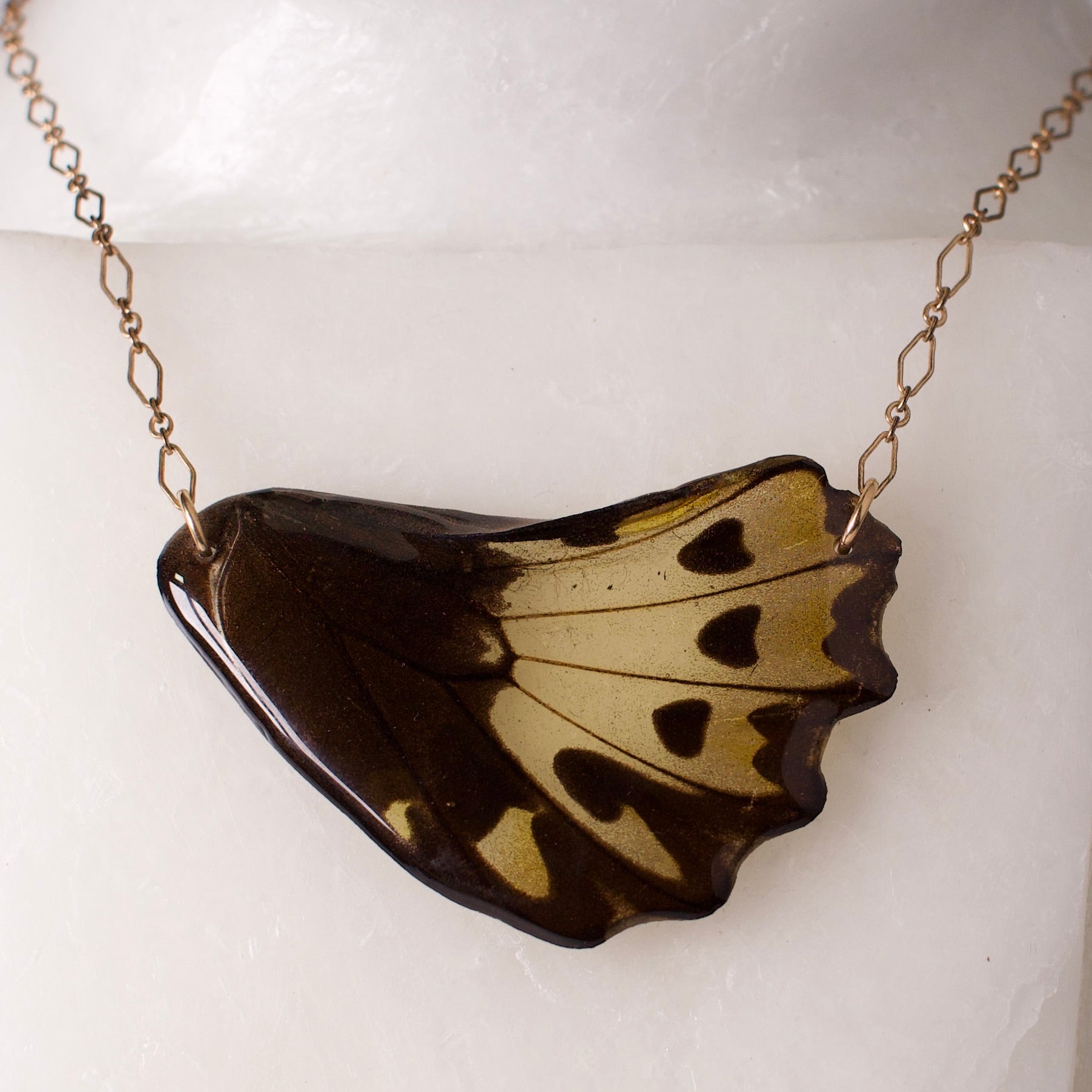 real butterfly wing pendant gold necklace birdwing butterfly ornithoptera priamus close up