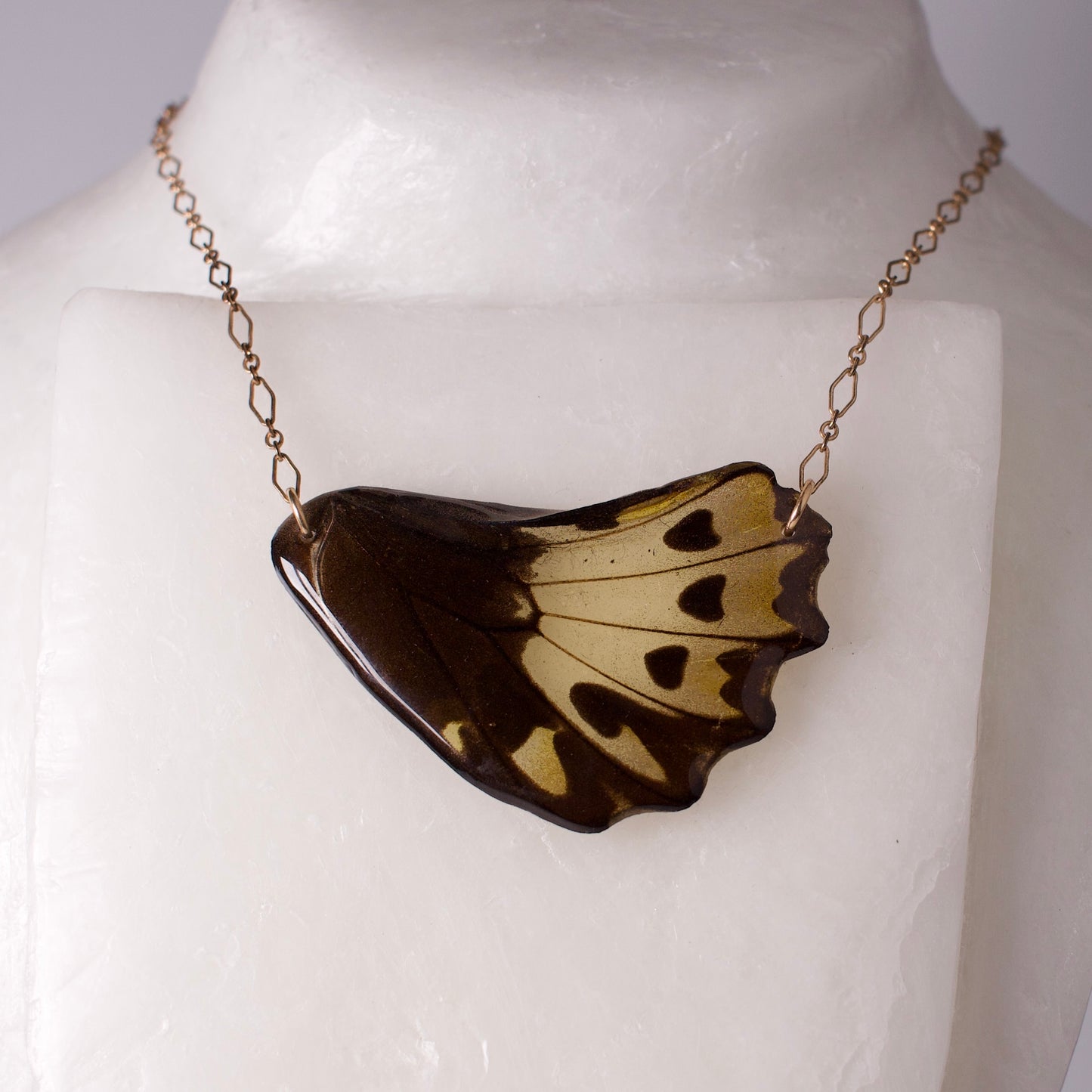 real butterfly wing pendant gold necklace birdwing butterfly ornithopters priamus on wax form