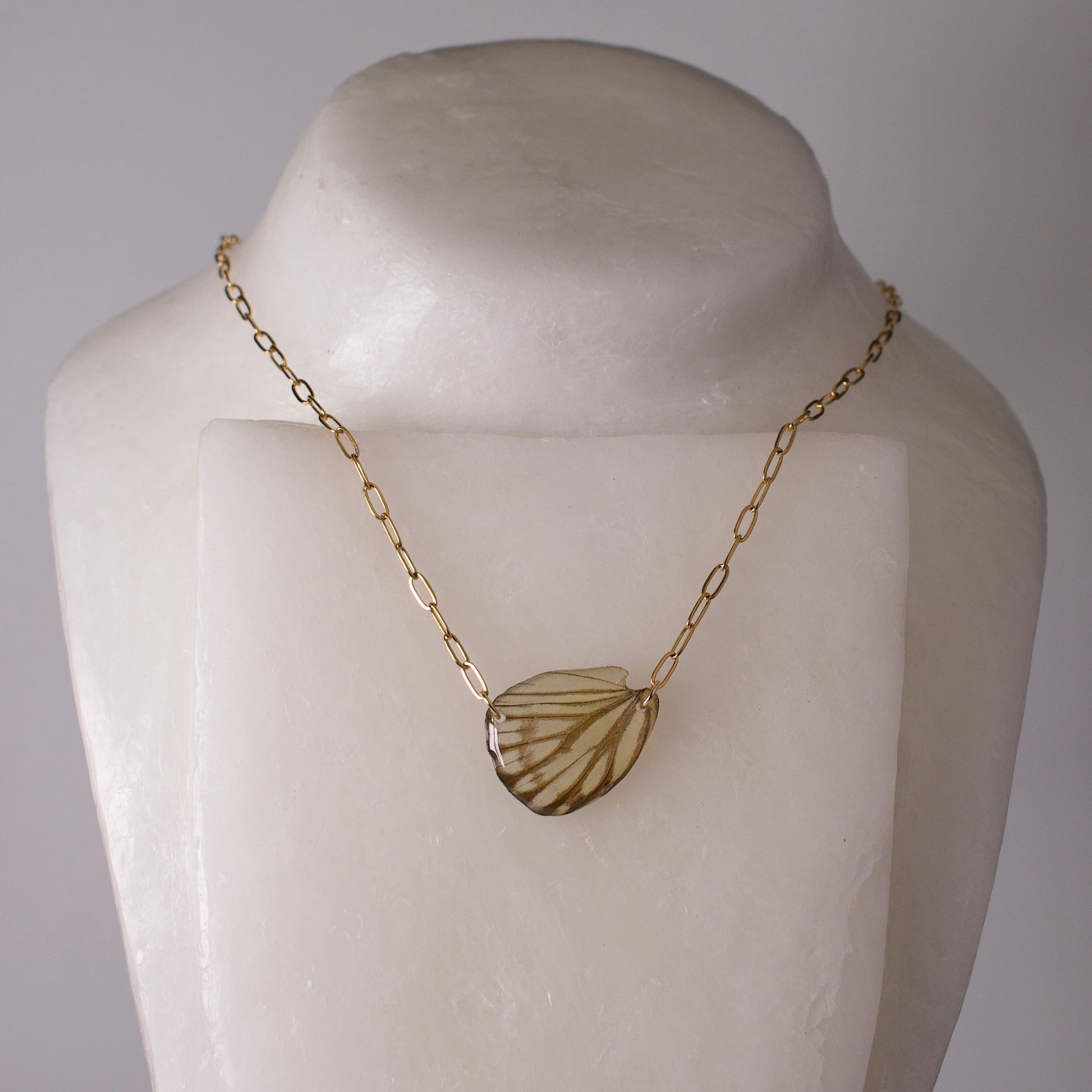 real butterfly wing pendant ivory grey striped albatross butterflies gold paperclip chain necklace on wax form
