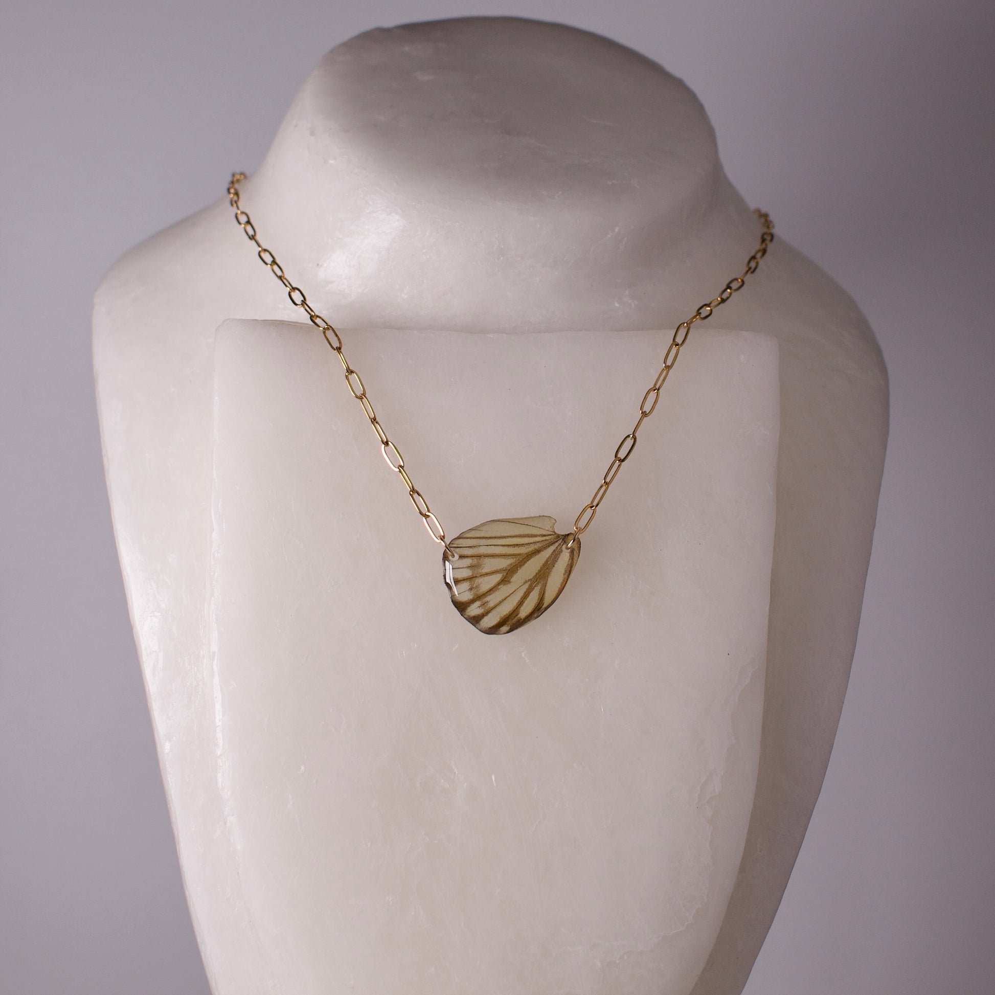real butterfly wing pendant ivory grey striped albatross butterflies gold paperclip necklace on wax form