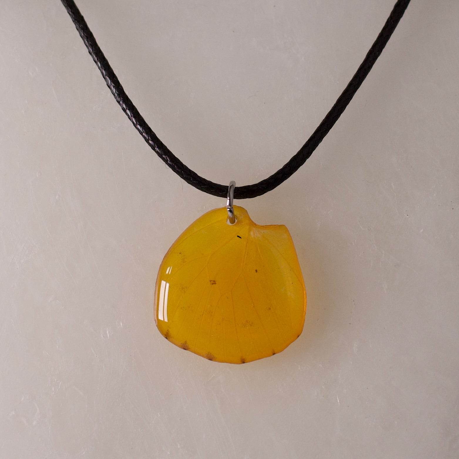 real butterfly wing pendant orange emigrant black cord close up on wax
