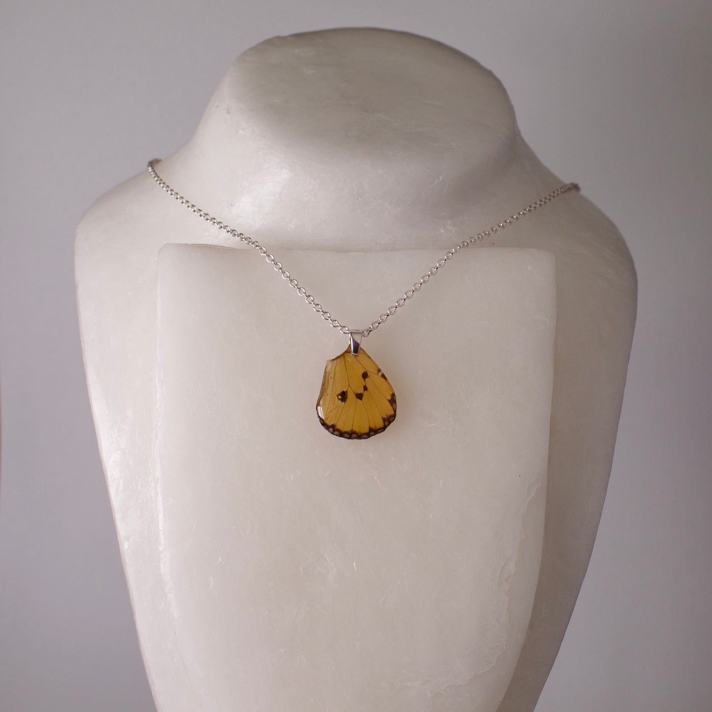 real butterfly wing pendant plain tiger butterflies Danaus chrysippus silver chain on mannequin