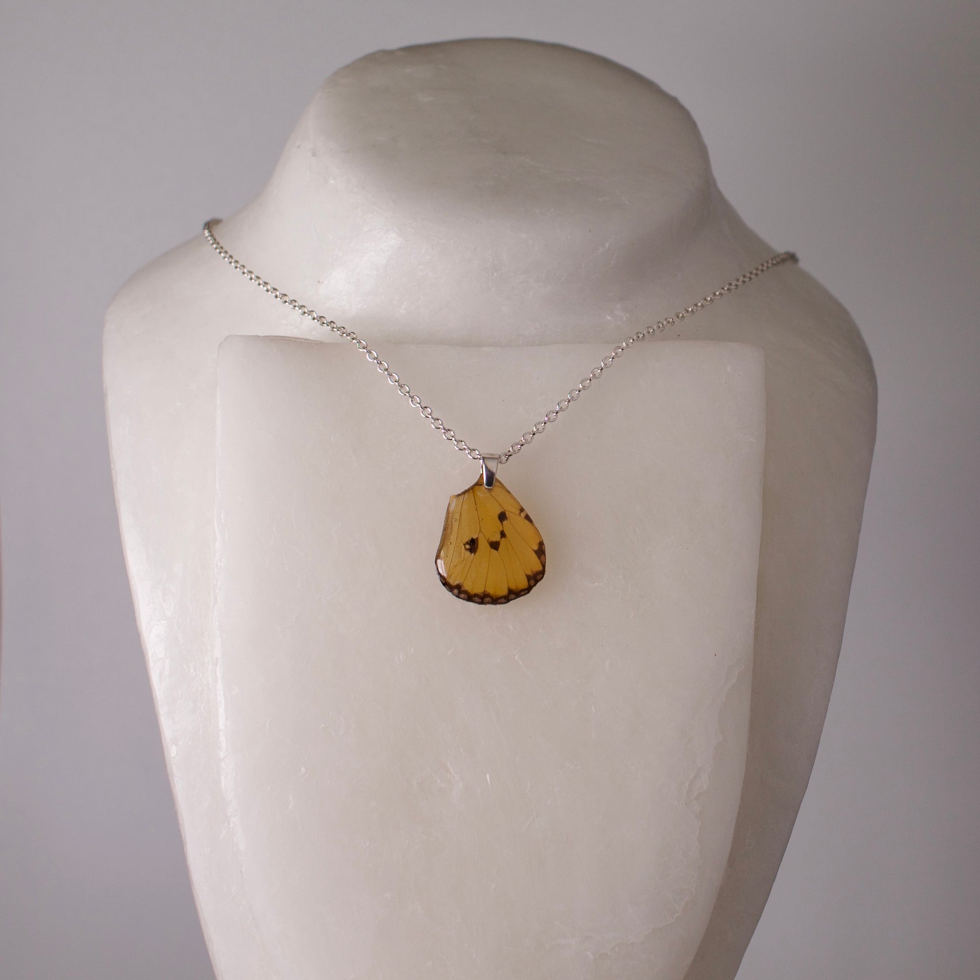 real butterfly wing pendant plain tiger butterflies Danaus chrysippus silver chain on mannequin