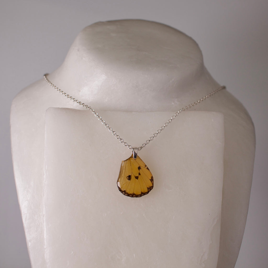 real butterfly wing pendant plain tiger butterflies Danaus chrysippus silver chain necklace on wax form