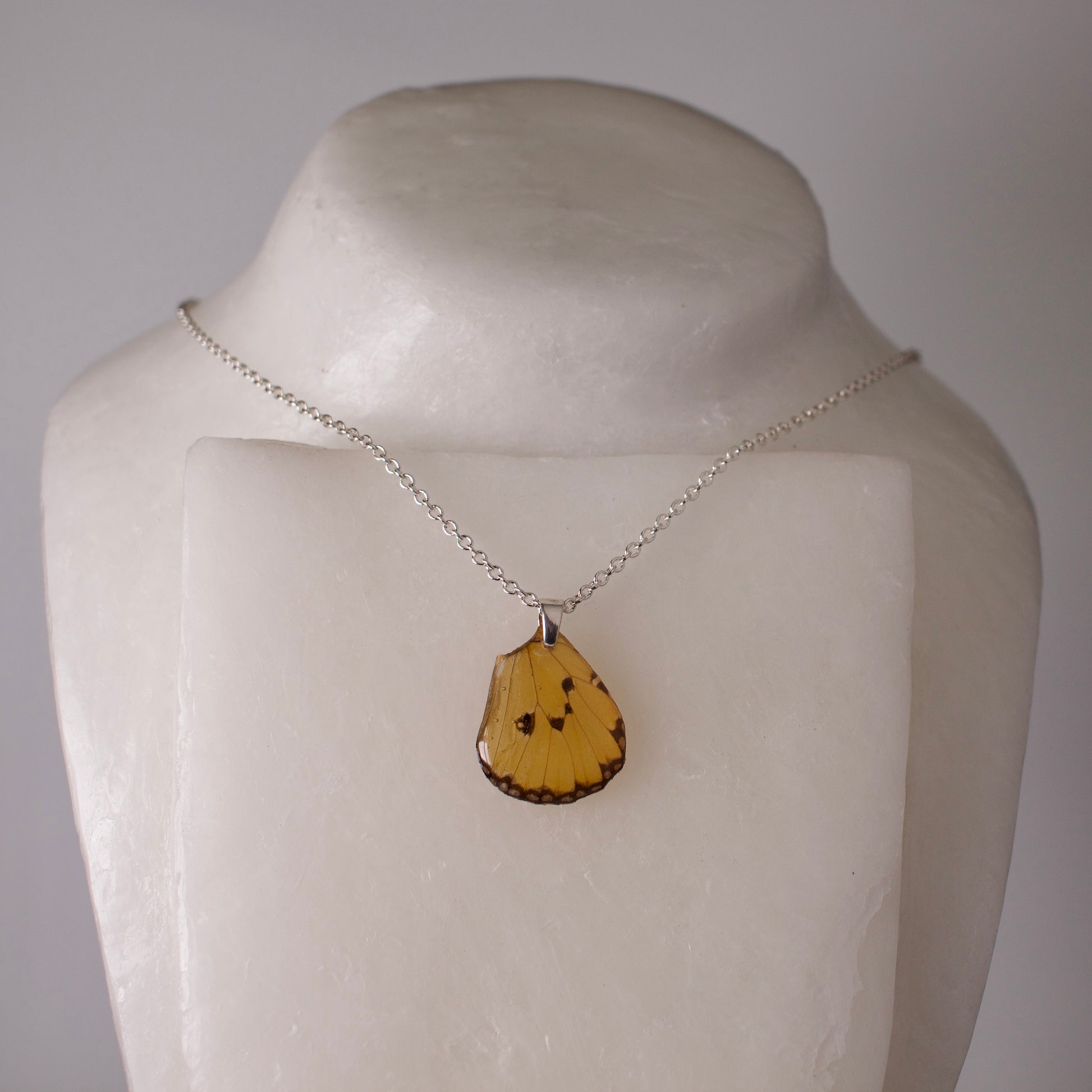 real butterfly wing pendant plain tiger butterflies Danaus chrysippus silver chain necklace on wax form